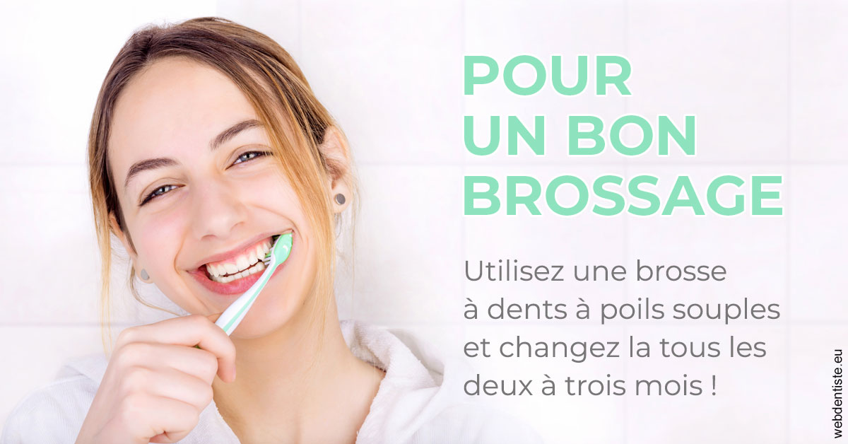 https://www.dentistesbeal.fr/Pour un bon brossage 2