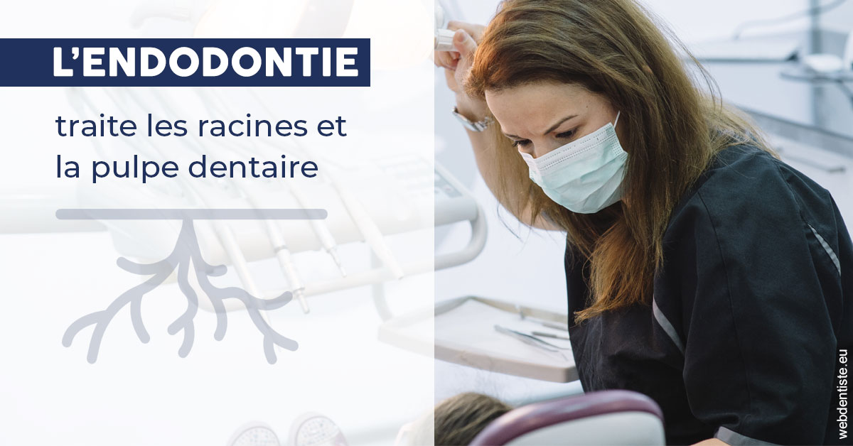 https://www.dentistesbeal.fr/L'endodontie 1