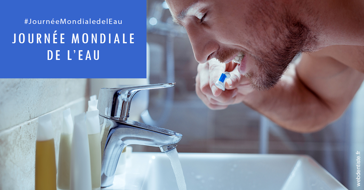 https://www.dentistesbeal.fr/Journée de l'eau 2