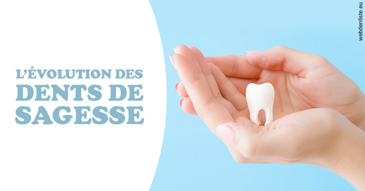 https://www.dentistesbeal.fr/Evolution dents de sagesse 1