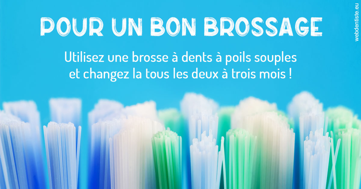 https://www.dentistesbeal.fr/Pour un bon brossage 1