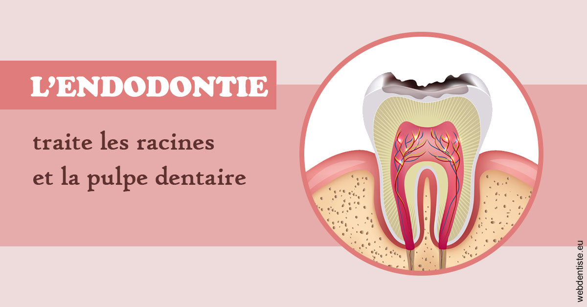 https://www.dentistesbeal.fr/L'endodontie 2
