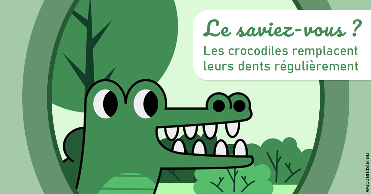https://www.dentistesbeal.fr/Crocodiles 2