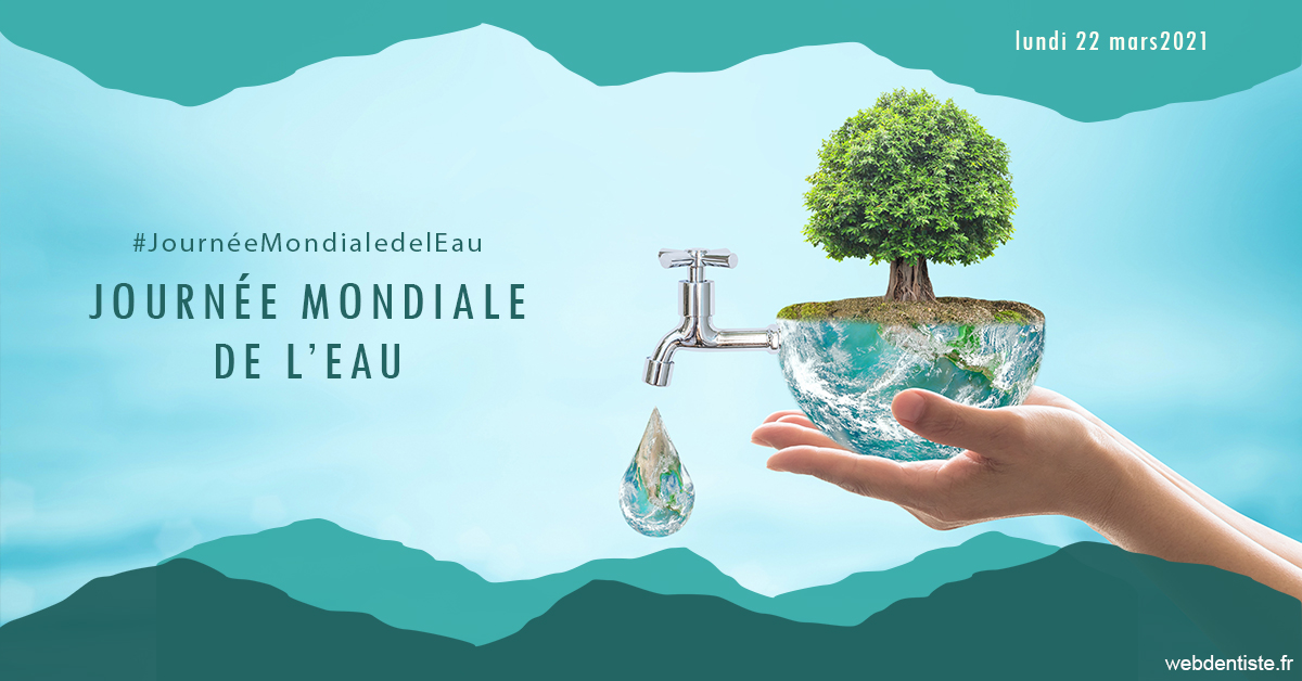 https://www.dentistesbeal.fr/Journée de l'eau 1