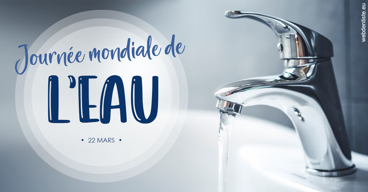 https://www.dentistesbeal.fr/La journée de l'eau 2
