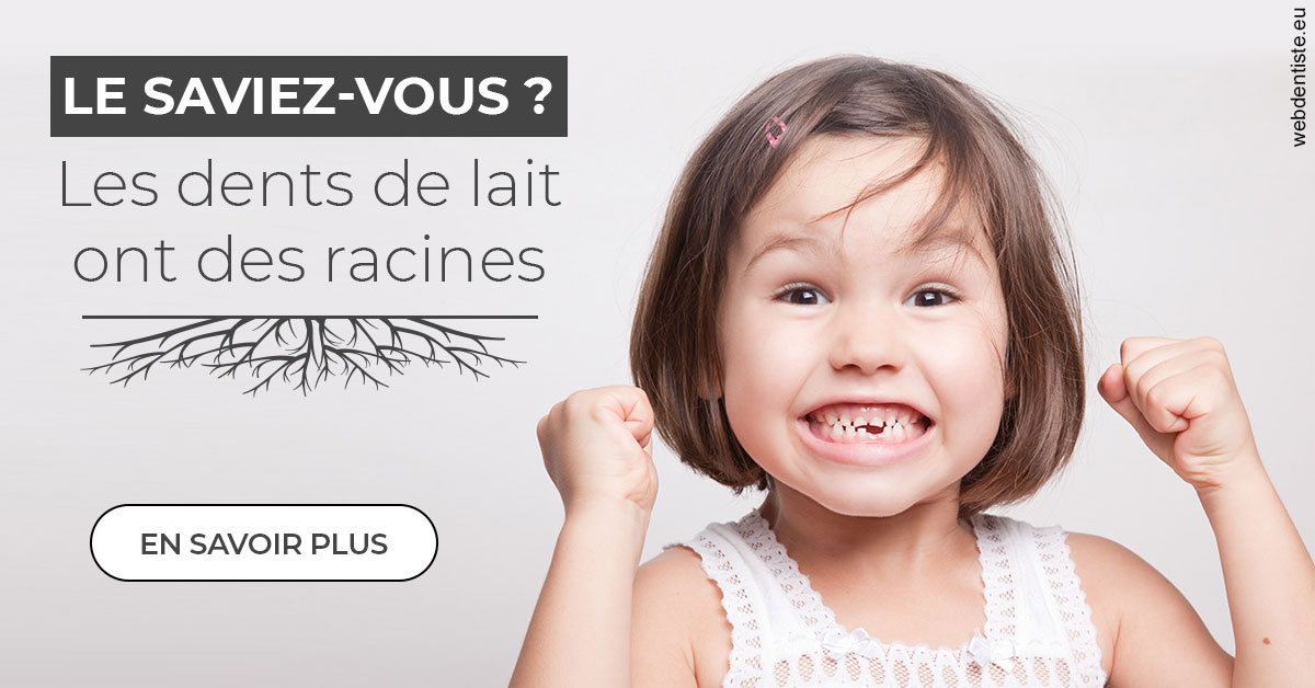 https://www.dentistesbeal.fr/Les dents de lait