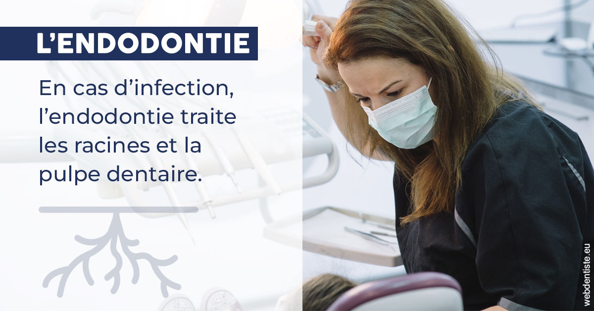 https://www.dentistesbeal.fr/L'endodontie 1