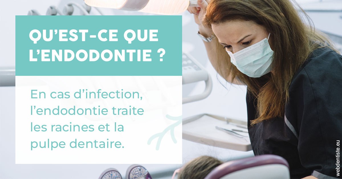 https://www.dentistesbeal.fr/2024 T1 - Endodontie 01