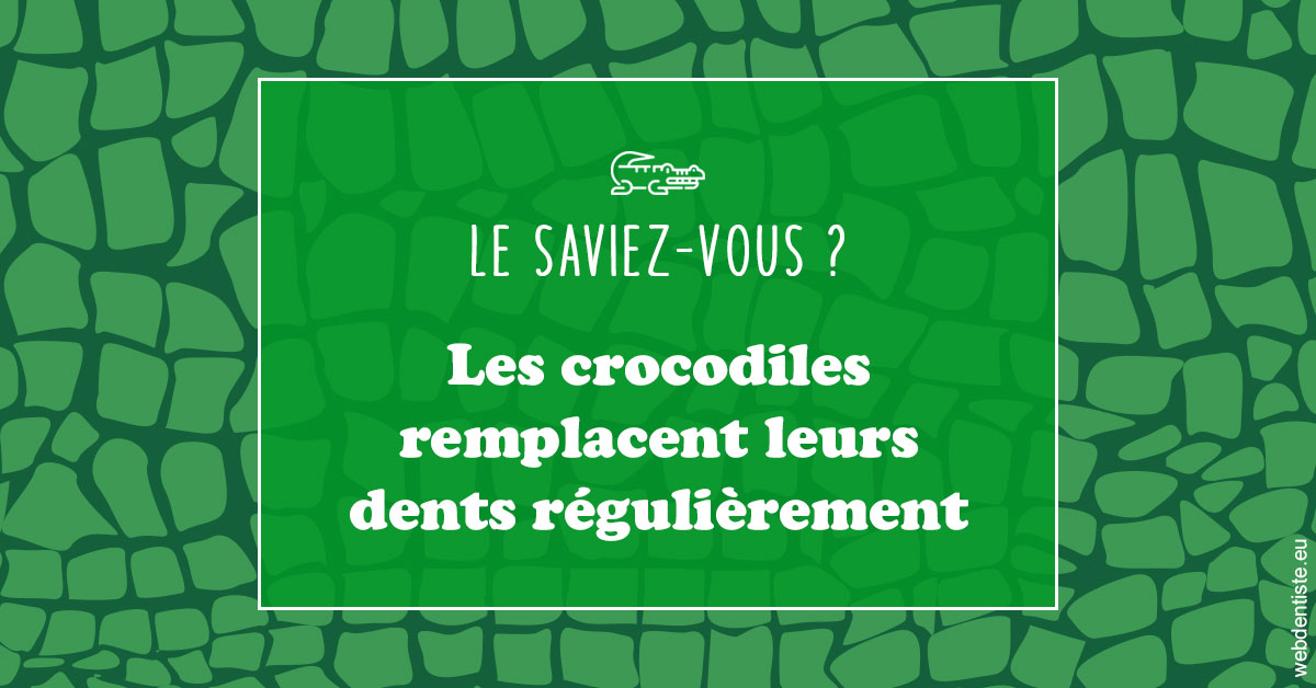https://www.dentistesbeal.fr/Crocodiles 1